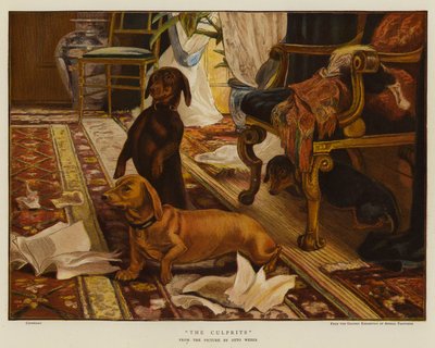 Los culpables de Otto Weber